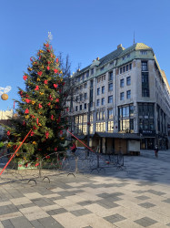 Фото з туру Душевний Вікенд  Краків, Прага, Відень, Будапешт + Егер, 19 грудня 2023 від туриста Уляна