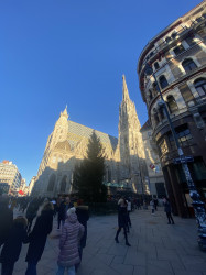Фото из тура Магия Рождественских ярмарок Краков, Прага, Дрезден, Вена, Будапешт, 15 декабря 2023 от туриста Оксана