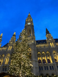 Фото з туру Вікенд у Будапешт! + Відень!, 24 грудня 2023 від туриста Ліза