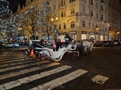 Фото из тура Праздничная Прага!!!Выезд из Киева, 22 декабря 2023 от туриста Тетяна 