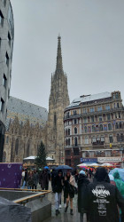 Фото з туру Вікенд у Будапешт! + Відень!, 21 грудня 2023 від туриста Іванна