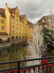 Фото из тура В плену Парижа + Эльзас+ Швейцария, 22 декабря 2023 от туриста Марія