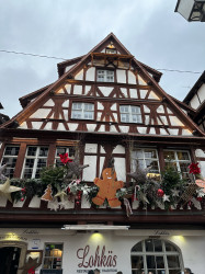 Фото из тура В полном шоколаде... или 2 дня в Швейцарии!, 22 декабря 2023 от туриста Натали