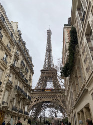 Фото из тура Маленькое французское путешествие Париж, Диснейленд+ Нюрнберг, 22 декабря 2023 от туриста nick01