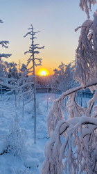 Фото из тура Встреча с Сантой в Лапландии, 28 декабря 2023 от туриста Smuk 