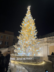 Фото из тура Скажем «чииииз» в Италии: 3 дня в Риме + Неаполь, Флоренция и Венеция, 28 декабря 2023 от туриста Mari_St