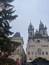 Фото из тура Душевный Уикенд Краков, Прага, Вена, Будапешт + Эгер, 05 января 2024 от туриста Iryna