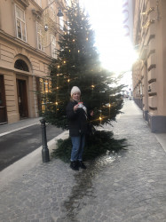 Фото из тура Пражский хит + Вена, 30 декабря 2023 от туриста Kvesaulova