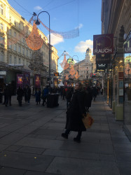 Фото из тура Пражский хит + Вена, 30 декабря 2023 от туриста Kvesaulova