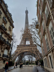Фото з туру Закохані в Париж + Страсбург..., 19 грудня 2023 від туриста Лора