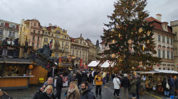 Фото з туру Закохані в Париж + Страсбург..., 19 грудня 2023 від туриста Світлана