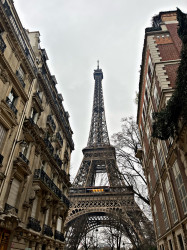 Фото из тура Три дня в Париже + Диснейленд, 08 января 2024 от туриста alinaa