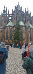 Фото з туру Три горішки для Попелюшки  Дрезден, Прага, Краків, 22 грудня 2023 від туриста Леська