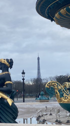 Фото из тура Маленькое французское путешествие Париж, Диснейленд+ Нюрнберг, 18 января 2024 от туриста Anna