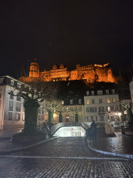 Фото з туру Романтичний Париж!  Страсбург, Кольмар, Нюрнберг, 21 січня 2024 від туриста Roksa 