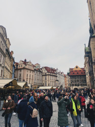 Фото из тура Душевный Уикенд Краков, Прага, Вена, Будапешт + Эгер, 22 февраля 2024 от туриста Vslnkira 