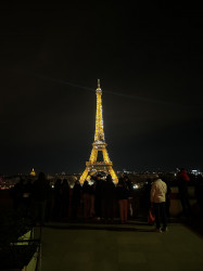 Фото из тура Французский для начинающих Париж + Диснейленд, 06 марта 2024 от туриста OlkaYokha
