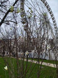 Фото з туру Душевний Вікенд  Краків, Прага, Відень, Будапешт + Егер, 08 березня 2024 від туриста Любов 
