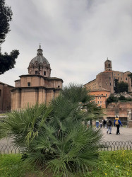 Фото из тура Чао, Италия! 2 дня в Риме + Флоренция и Венеция!, 22 марта 2024 от туриста Tania