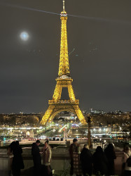 Фото из тура В плену Парижа + Эльзас+ Швейцария, 23 марта 2024 от туриста Vlada