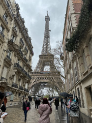 Фото из тура Салют, Париж!, 24 марта 2024 от туриста Анна