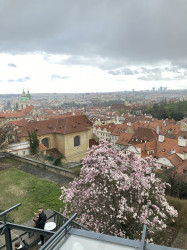 Фото з туру Душевний Вікенд  Краків, Прага, Відень, Будапешт + Егер, 23 березня 2024 від туриста Аля 