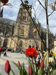 Фото з туру Душевний Вікенд  Краків, Прага, Відень, Будапешт + Егер, 26 березня 2024 від туриста СофіУкраїна 