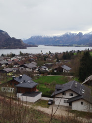Фото из тура Отдых на высоте - Швейцария!!! Цюрих, Берн, Люцерн+ остров Майнау, 23 марта 2024 от туриста Черкаси 