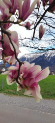 Фото з туру Відпочинок на висоті - Швейцарія Цюріх, Берн, Люцерн + острів Майнау, 23 березня 2024 від туриста Светик