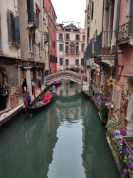 Фото из тура Рим притягивает нас! Вена, Флоренция и Венеция!, 30 марта 2024 от туриста Zoja