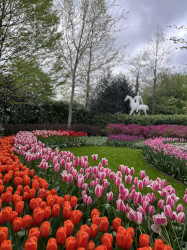 Фото з туру Зустрінемось в Амстердамі + парк "Кекенхоф" і парк розваг Ефтелінг!!!, 12 квітня 2024 від туриста Валері