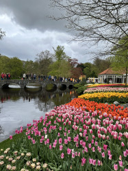 Фото з туру Зустрінемось в Амстердамі + парк "Кекенхоф" і парк розваг Ефтелінг!!!, 12 квітня 2024 від туриста L13