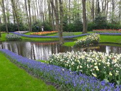 Фото из тура Встретимся в Амстердаме + парк "Кекенхоф" и парк Эфтелинг!!!, 12 апреля 2024 от туриста Наталія
