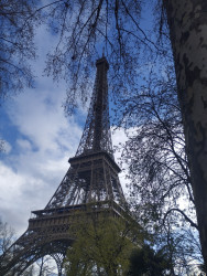 Фото з туру Закохані в Париж + Страсбург..., 26 березня 2024 від туриста Oleksiy