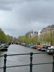 Фото из тура Встретимся в Амстердаме + парк "Кекенхоф" и парк Эфтелинг!!!, 22 апреля 2024 от туриста Тіна