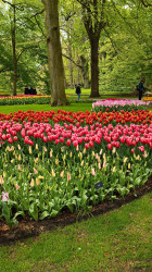 Фото з туру Вітаю, милий Амстердам!, 22 квітня 2024 від туриста Наталія 