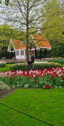 Фото из тура Здравствуй, милый Амстердам!, 22 апреля 2024 от туриста Maryna
