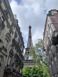 Фото из тура Сладкий круассан - Париж, 24 апреля 2024 от туриста Diannaaa7