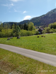 Фото из тура Отдых на высоте - Швейцария!!! Цюрих, Берн, Люцерн+ остров Майнау, 22 апреля 2024 от туриста Татьяна