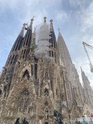 Фото из тура Кастаньеты испанского сердца  3 дня в Барселоне, 22 апреля 2024 от туриста FedyaP