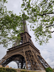 Фото из тура Три дня в Париже + Диснейленд, 27 апреля 2024 от туриста Ks