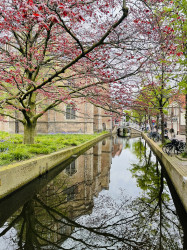Фото з туру Амстердам… Forever , 27 квітня 2024 від туриста Veronika