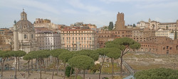 Фото з туру Скажемо «чііііз» в Італії: 3 дні в Римі + Неаполь, Флоренція і Венеція, 27 квітня 2024 від туриста Iryna