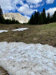 Фото з туру Швейцарська інтрига  Австрія, Італія та Доломітові Альпи, 30 травня 2024 від туриста Наталія Булгакова 