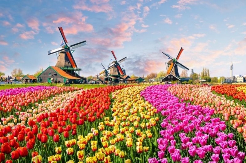 Амстердам на любой вкус и цвет!