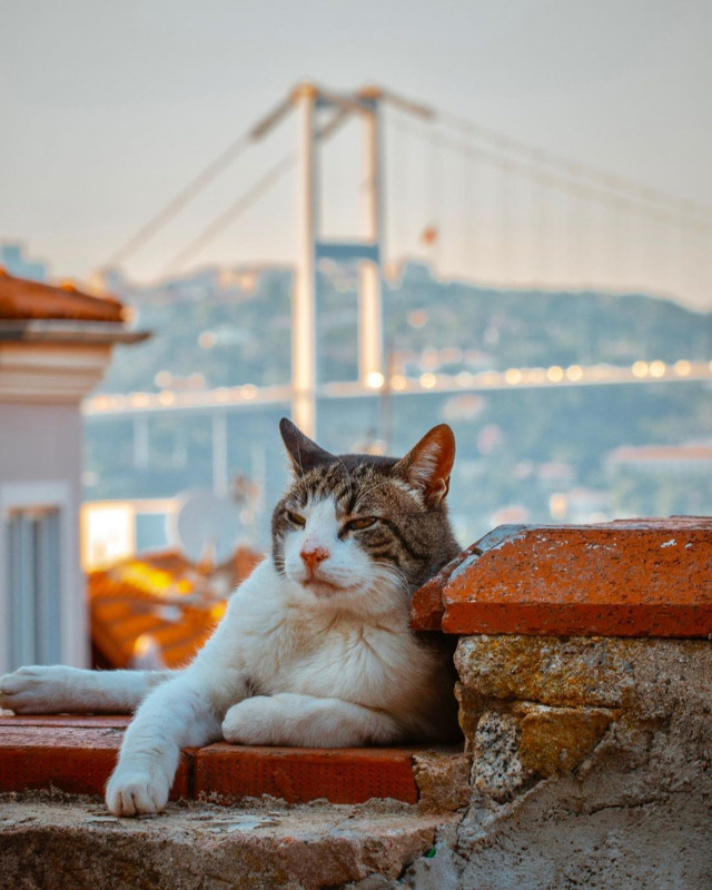 Жовтень – найкращий місяць для… Стамбулу!