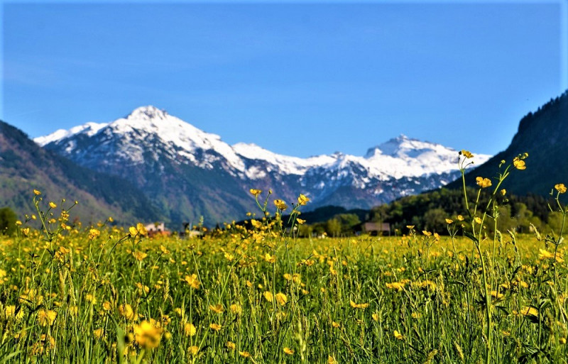 23.03.2024 – Гарантований тур: "Відпочинок на висоті - Швейцарія" + весняний острів Майнау