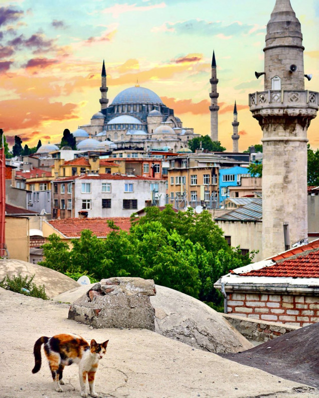 Загадочный и величественный, шумный и сказочно красивый - Стамбул! 