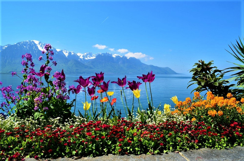 23.03.2024 – Гарантированный тур: "Отдых на высоте – Швейцария" + весенний остров Майнау
