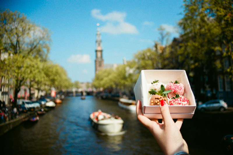 Амстердам Forever. Весенний парк тюльпанов… гарантировано!